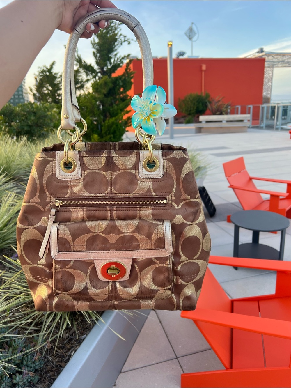 Vintage Coach Bag